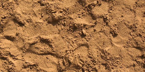 sandbox